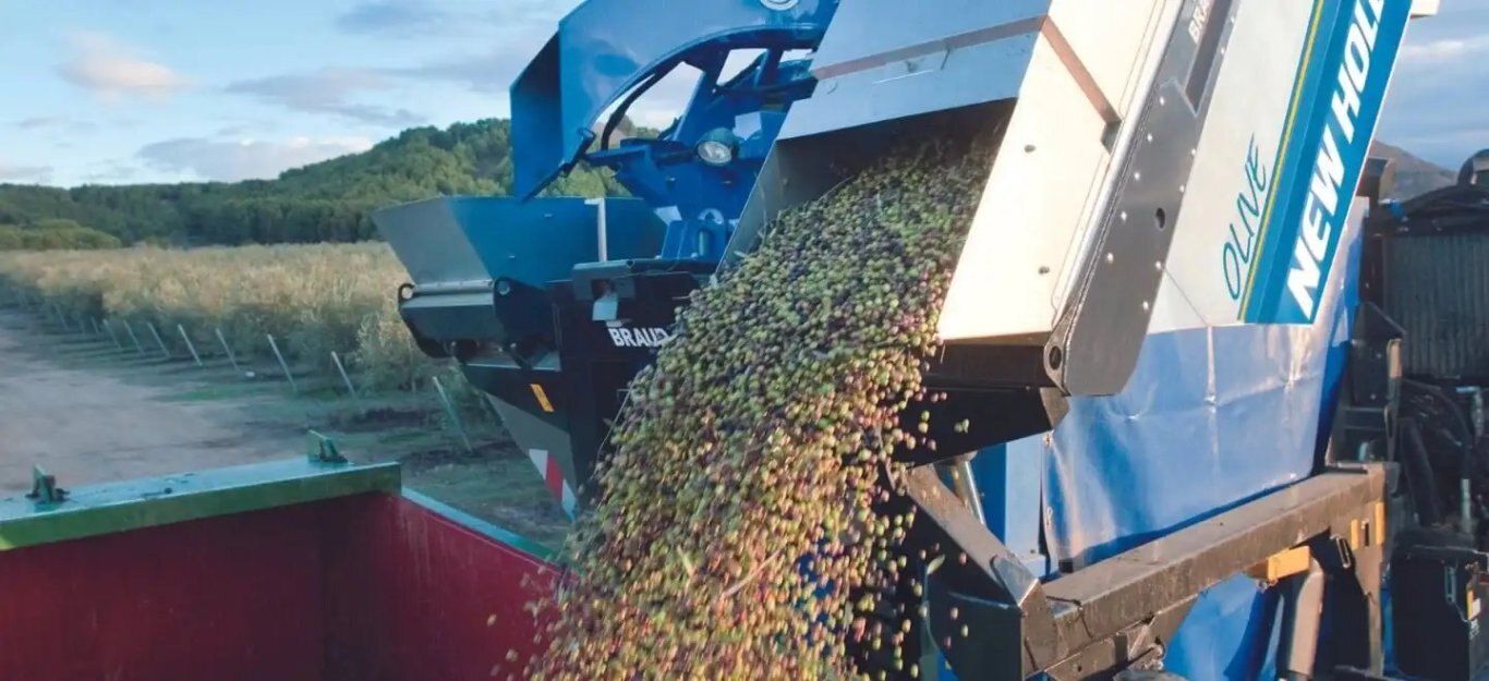 New Holland Braud 9090X Olive Harvester Braud 9090X Olive Side Conveyor