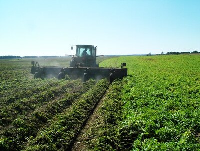 Loftness Vegetable 12/24 Shredder