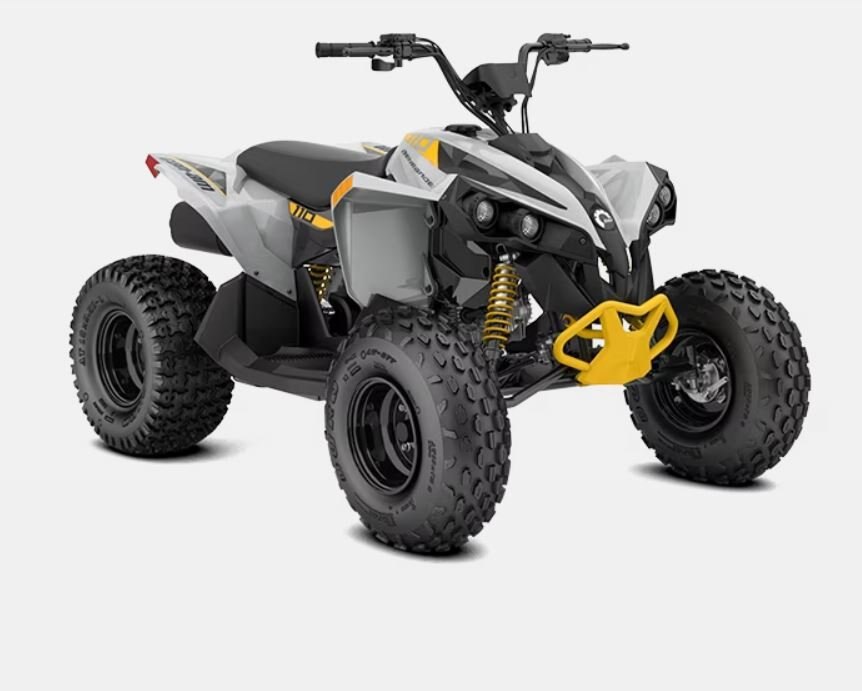 2024 Can-Am RENEGADE 110 EFI Catalyst gray-Neo yellow