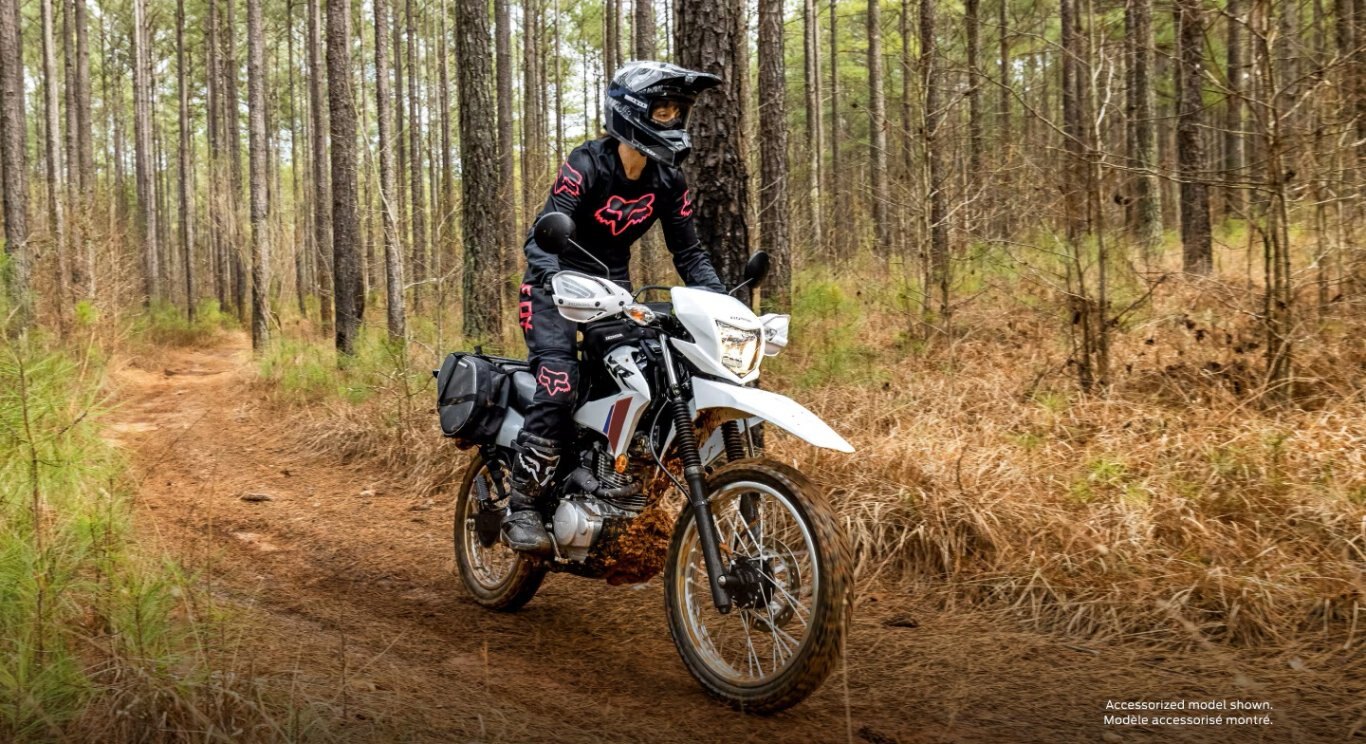 2025 Honda XR150L Standard