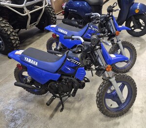 2023 YAMAHA PW50