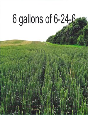 TK622 GREEN Low Salt Liquid Starter Fertilizer