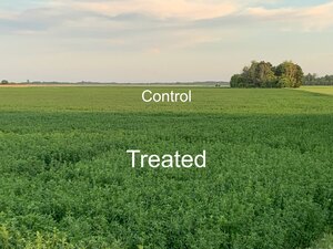 Bio Hume Plant Bio Fertilizer, Seed Treatment, & Soil Remediation Liquid