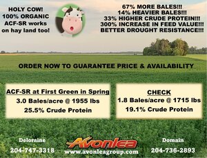 Bio Hume Plant BIo Fertilizer, Seed Treatment, & Soil Remediation Liquid