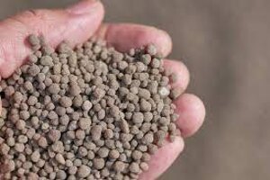Seed Row Safe Croplex 10 Bulk Dry Starter Fertilizer