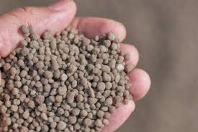 Seed Row Safe Triple Super Phosphate Bulk Dry Starter Fertilizer