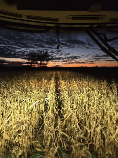 Synergy SRN Incitavus 622 BLACK Low Salt Liquid Starter Fertilizer c/w Humates