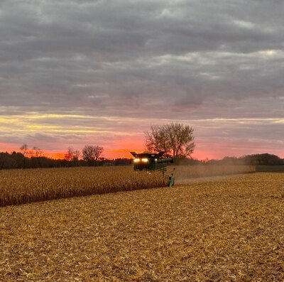 Synergy SRN Incitavus 622 BLACK PLUS Low Salt Liquid Starter Fertilizer c/w Humates & Micros