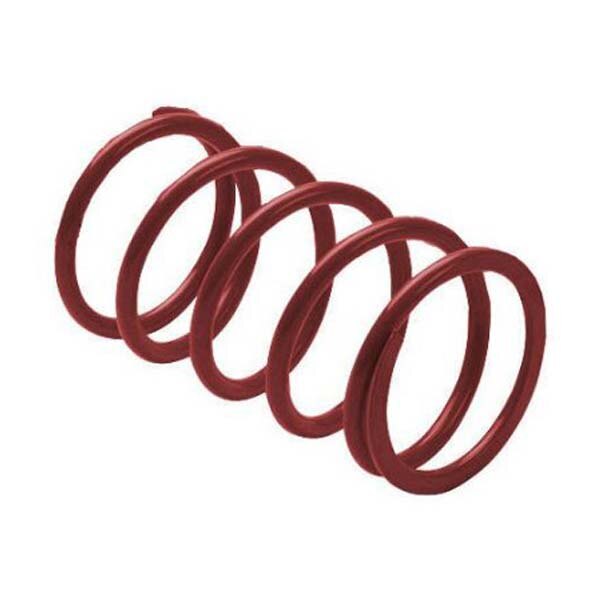 EPI Primary Clutch Spring