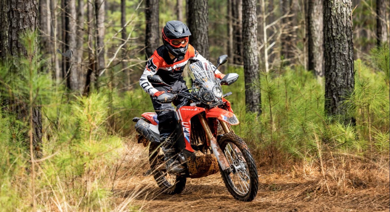 2025 Honda CRF300L ABS