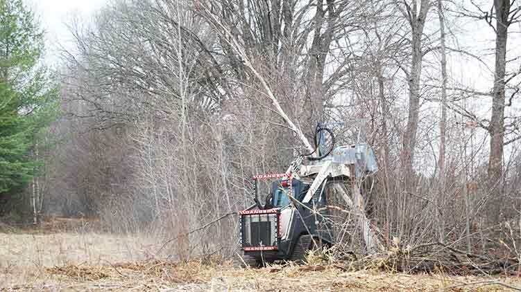 Bauma Light MS548