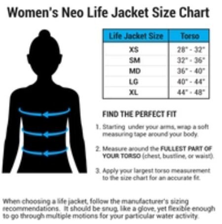 O'Brien Women's V Back Life Jacket LG Black / Purple