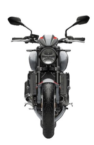 2026 Triumph Trident 800 Ash grey