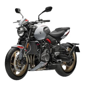 2026 Triumph Trident 800 Ash grey