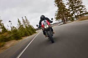 2026 Triumph Thruxton 400 Pearl metallic white / Storm grey