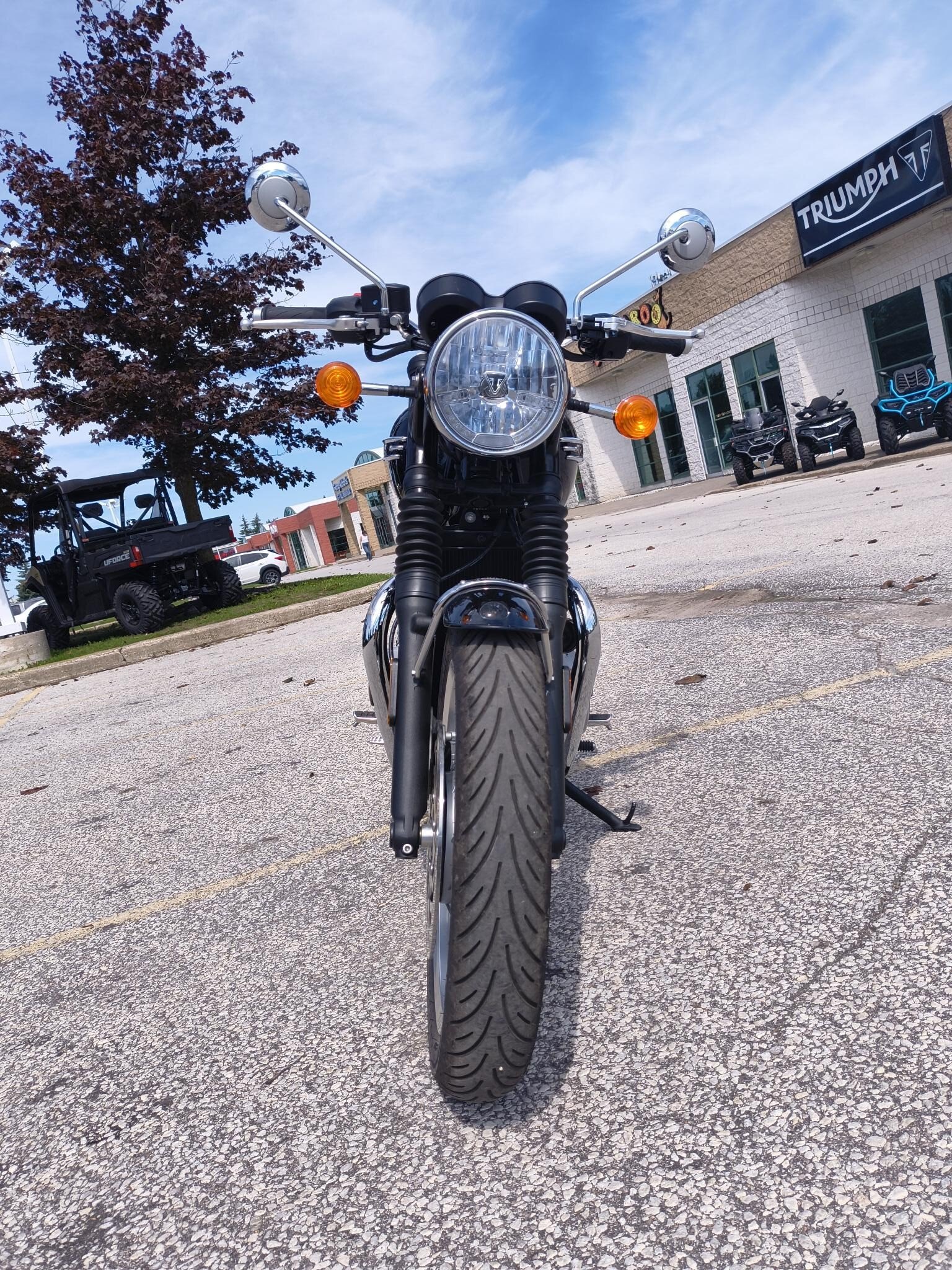 2024 TRIUMPH Bonneville T120