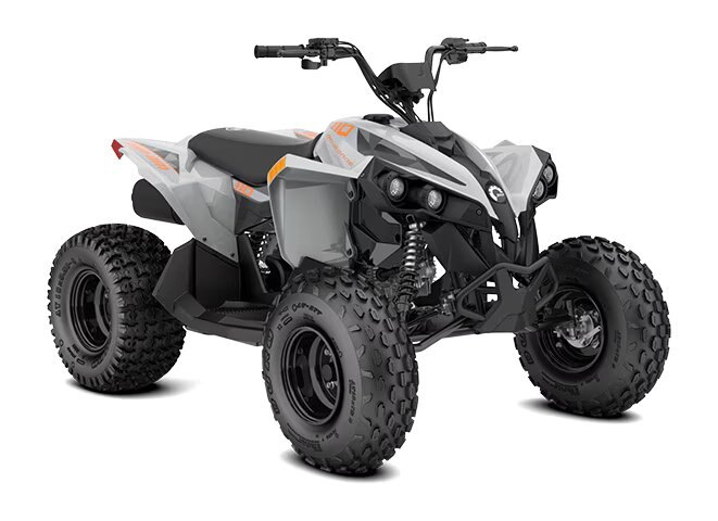 2027 Can Am Renegade 110 EFI Catalyst Grey