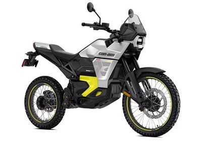 2025 Can-Am Origin 73 STERLING SILVER