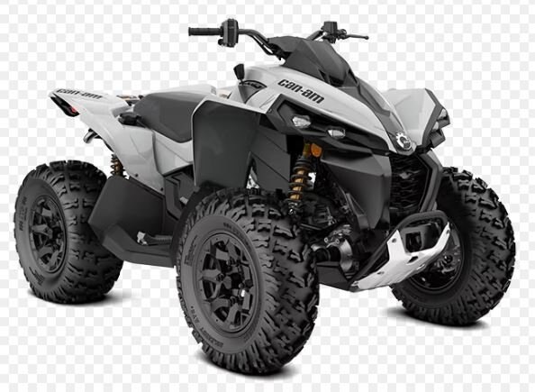 2024 Can Am RENEGADE 650