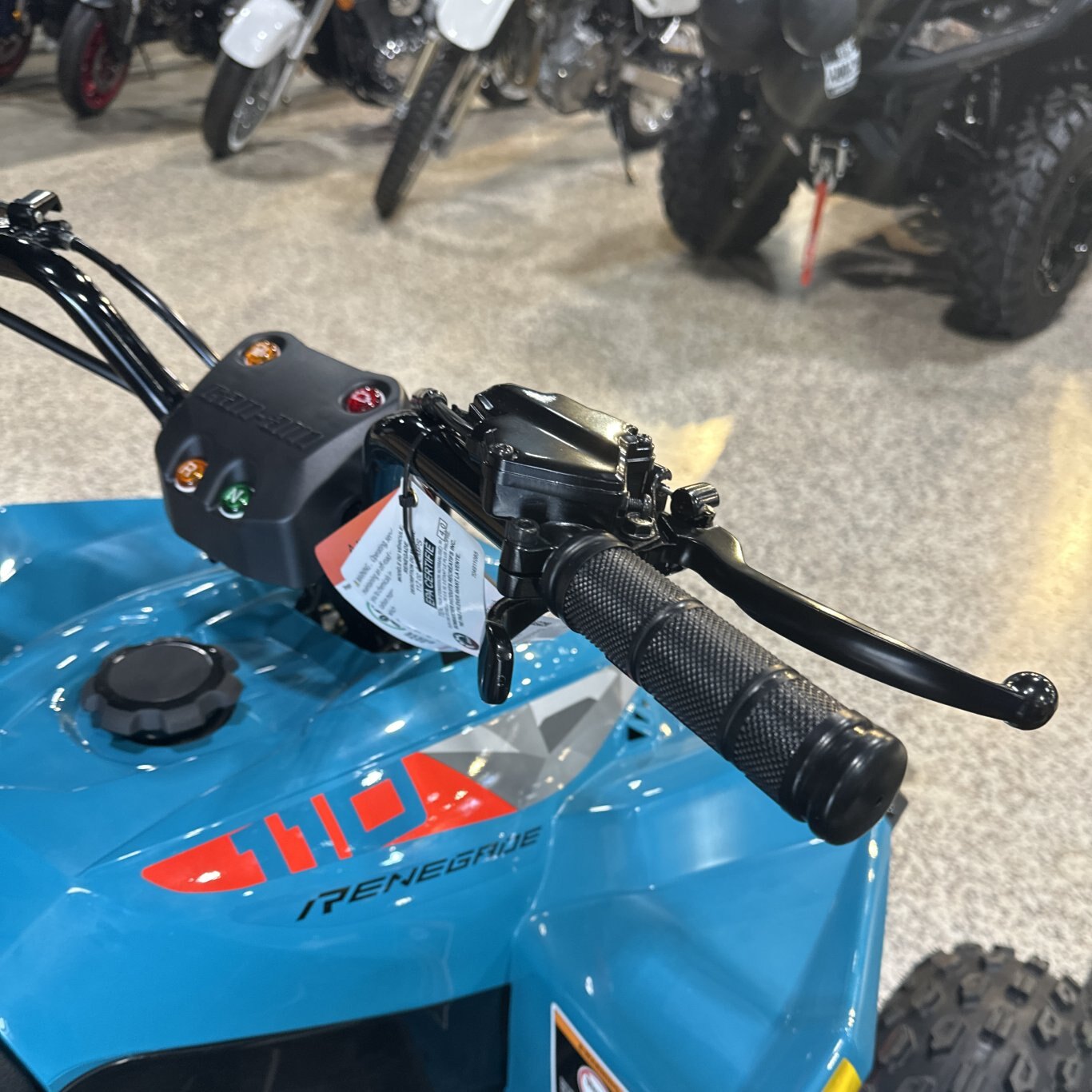 2026 Can Am Renegade 110 EFI Iceberg Blue & Black