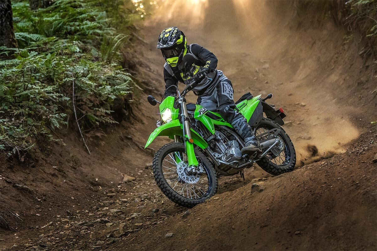 2025 Kawasaki KLX300 DUAL PURPOSE - LIME GREEN