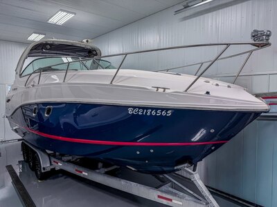 2010 Rinker 310
