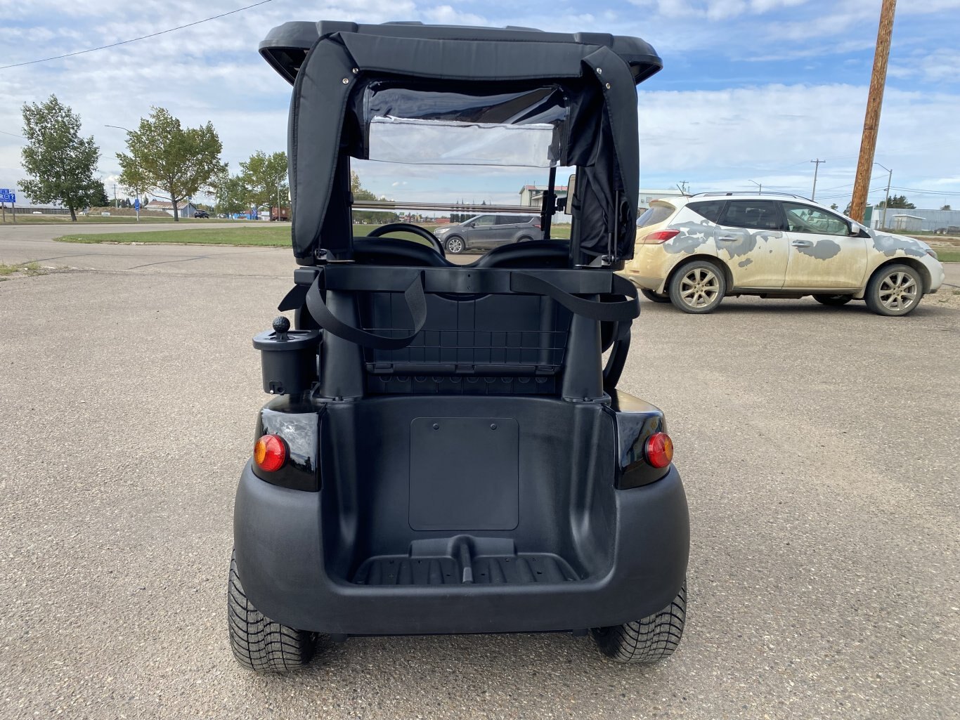 FTR Model 3 Lithium Golf Carts