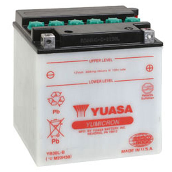 YUASA SERIES BATTERY (YUAM22H30)