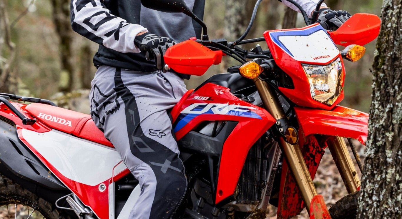 2024 Honda CRF300L Standard