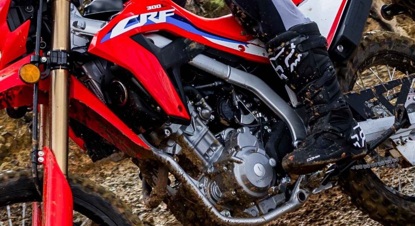 2024 Honda CRF300L Standard