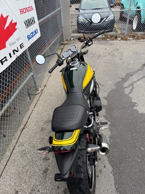 2024 Kawasaki Z900RS YELLOW BALL EDITION