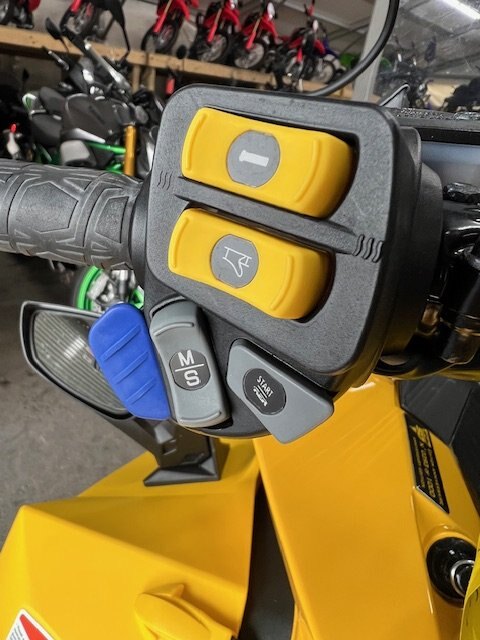 2009 SKIDOO MXZ 50TH 600HO ETEC