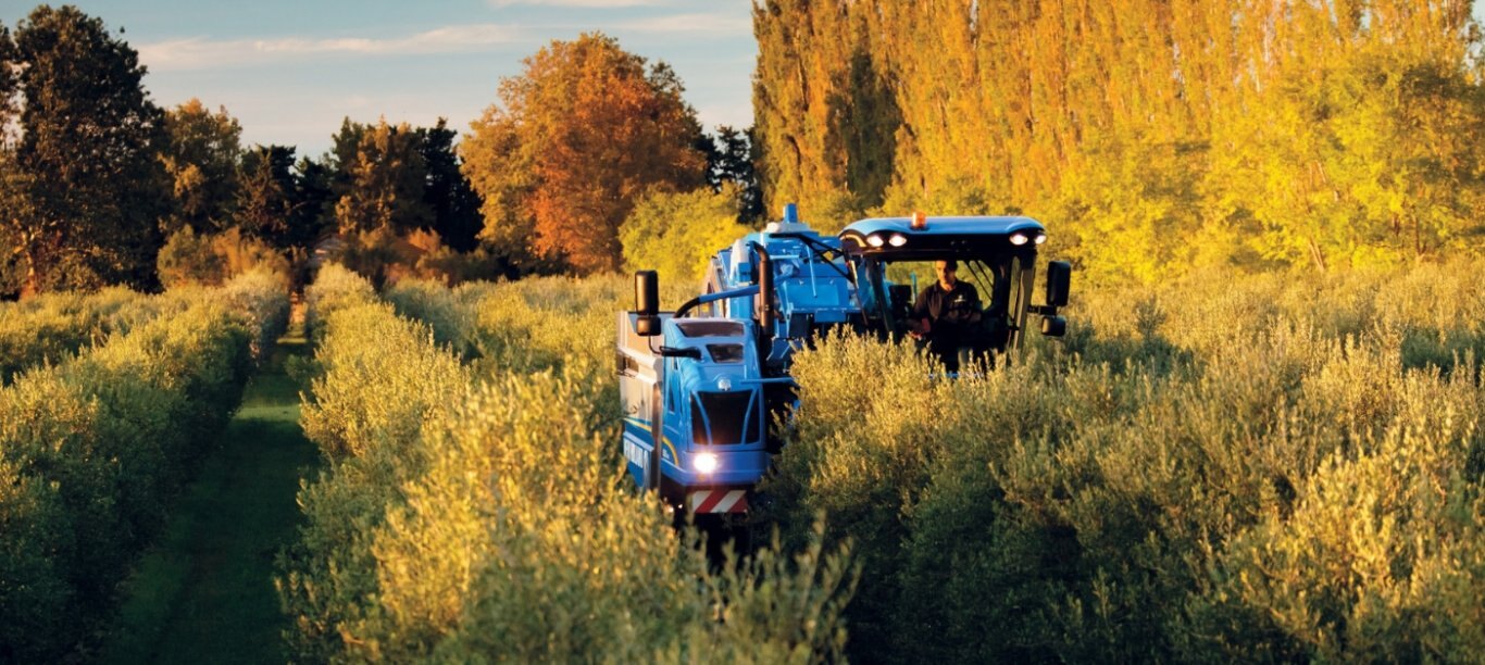 New Holland Braud 9090X Olive Harvester BRAUD 9090X Olive 2 Hoppers