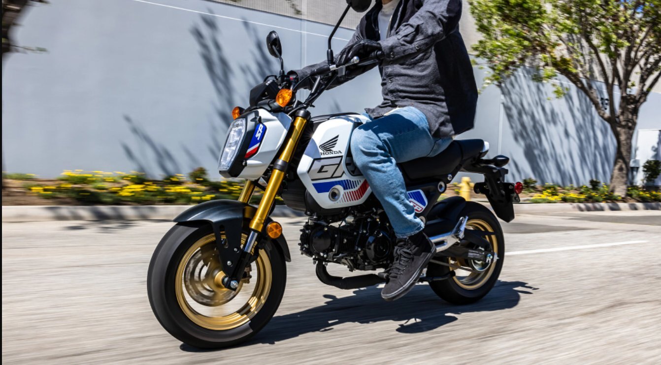 2023 Honda GROM (STANDARD) Red