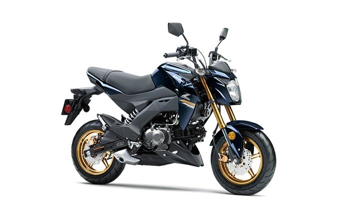 2023 Kawasaki Z125 PRO