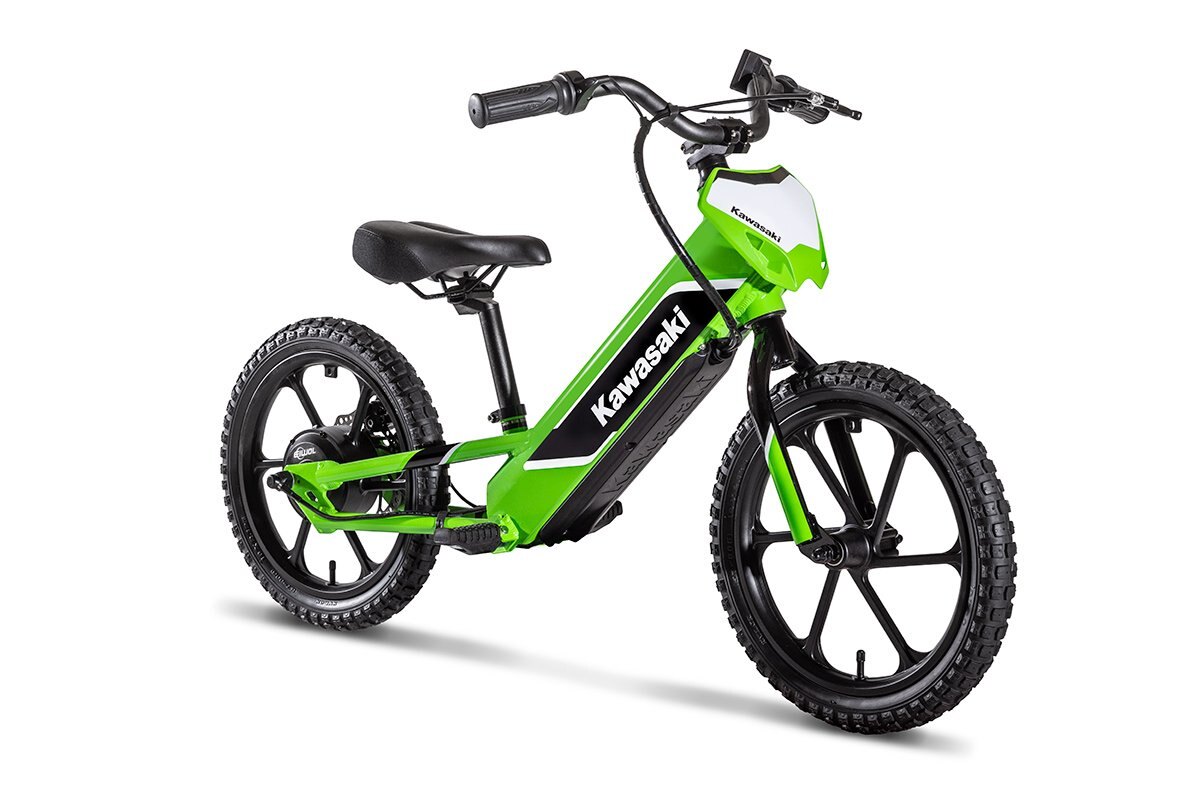 2024 Kawasaki ELEKTRODE