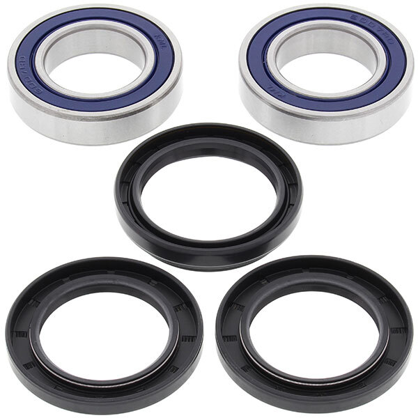 ALL BALLS WHEEL BEARING KIT (25 1122)