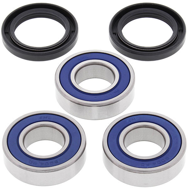 ALL BALLS WHEEL BEARING KIT (25 1243)