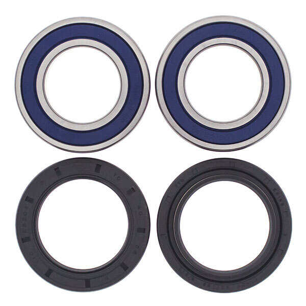 ALL BALLS WHEEL BEARING KIT (25 1299)