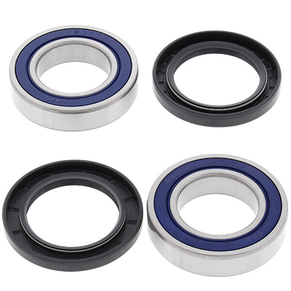 ALL BALLS WHEEL BEARING KIT (25 1313)