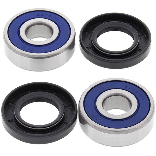 ALL BALLS WHEEL BEARING KIT (25 1317)