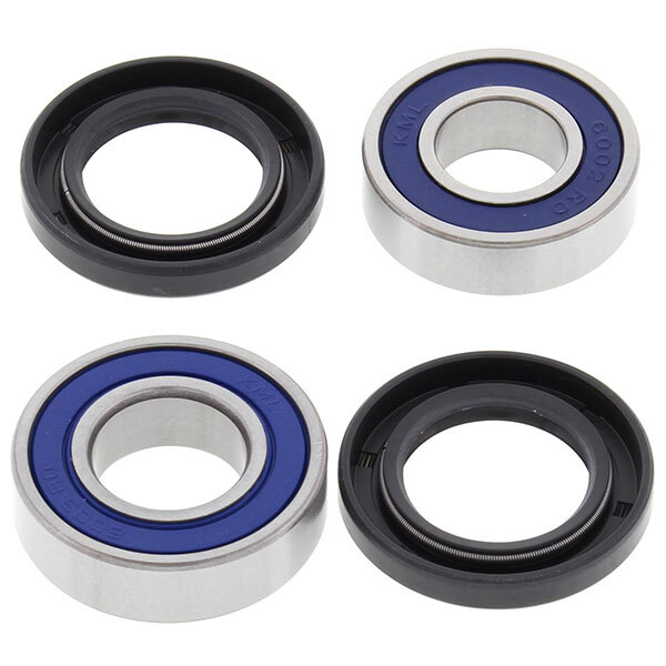 ALL BALLS WHEEL BEARING KIT (25 1395)