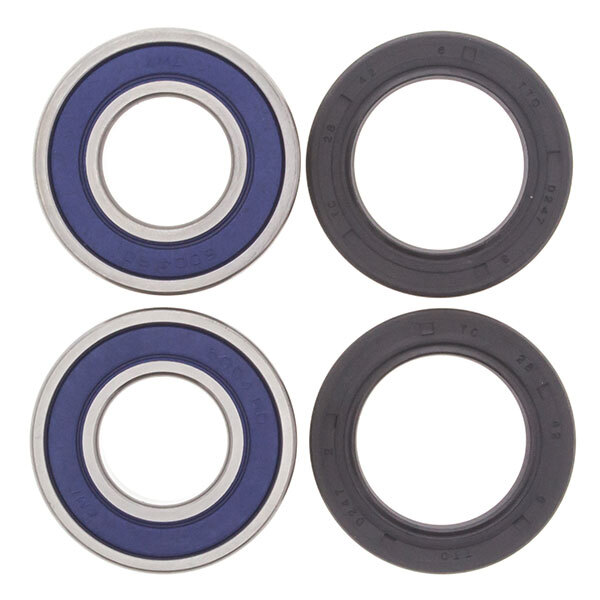 ALL BALLS WHEEL BEARING KIT (25 1562)