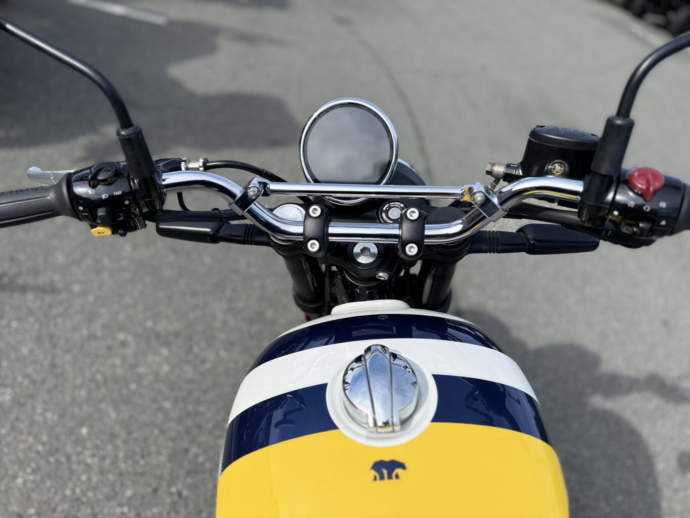 2025 Royal Enfield Bear 650 Wild Honey
