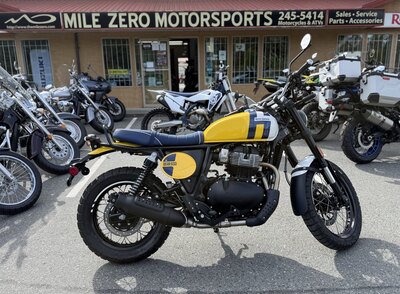 2025 Royal Enfield Bear 650 Wild Honey