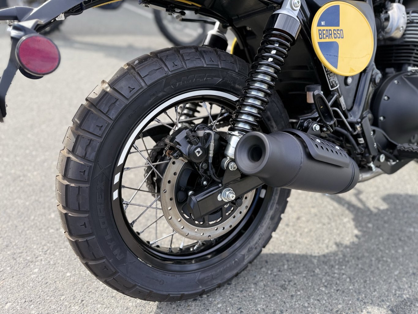 2025 Royal Enfield Bear 650 Wild Honey