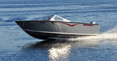 Fab-Tech  Silver Dolphin Bow Rider 17'
