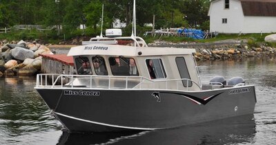 Fab-Tech  Silver Dolphin Stand Up Cabin 26'