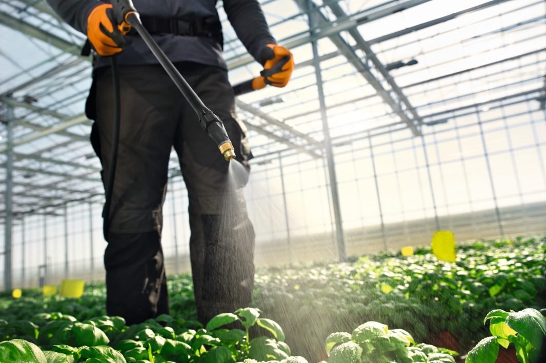 STIHL SG 71 42550194970