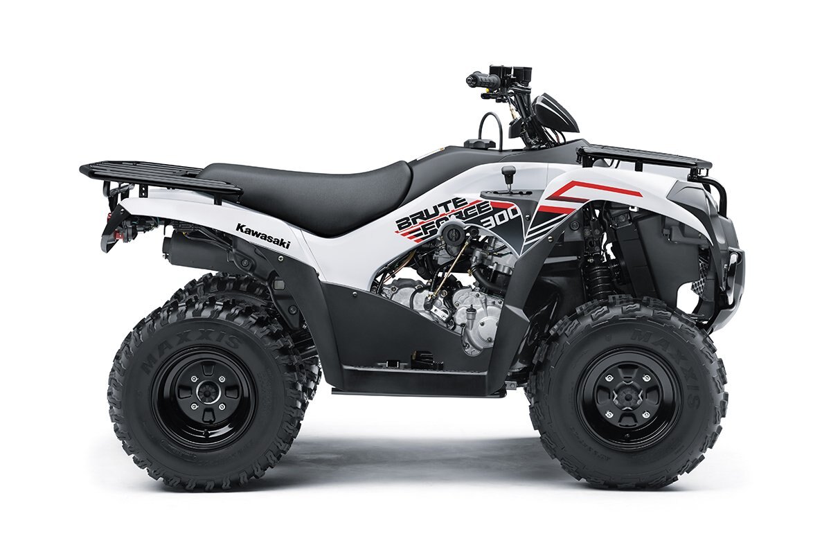 2021 Kawasaki BRUTE FORCE 300